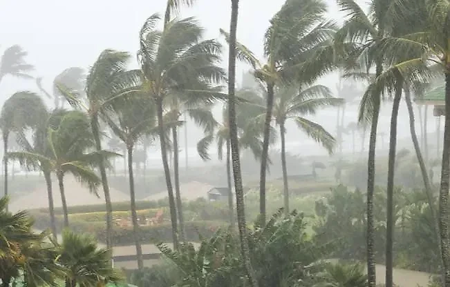 В ОАЭ и на Шри-Ланке туристов могут настигнуть дожди и жара. Обложка © Shutterstock / FOTODOM / Ryan DeBerardinis