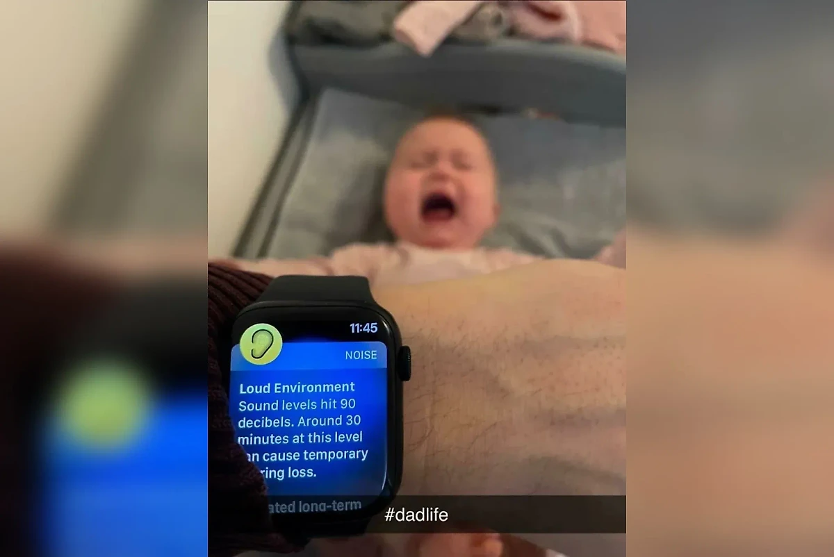 "Громкая окружающая среда. Уровень звука достиг 90 децибел. Около 30 минут на этом уровне могут вызвать временную потерю слуха". Фото © Reddit / Parelius