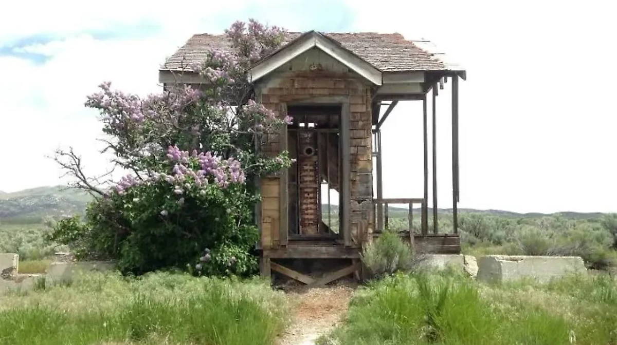 Фото © Reddit / dancing_all_knight