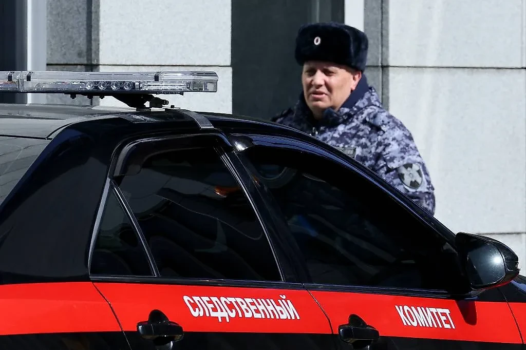 Служебный автомобиль СК. Обложка © ТАСС / Сергей Бобылев