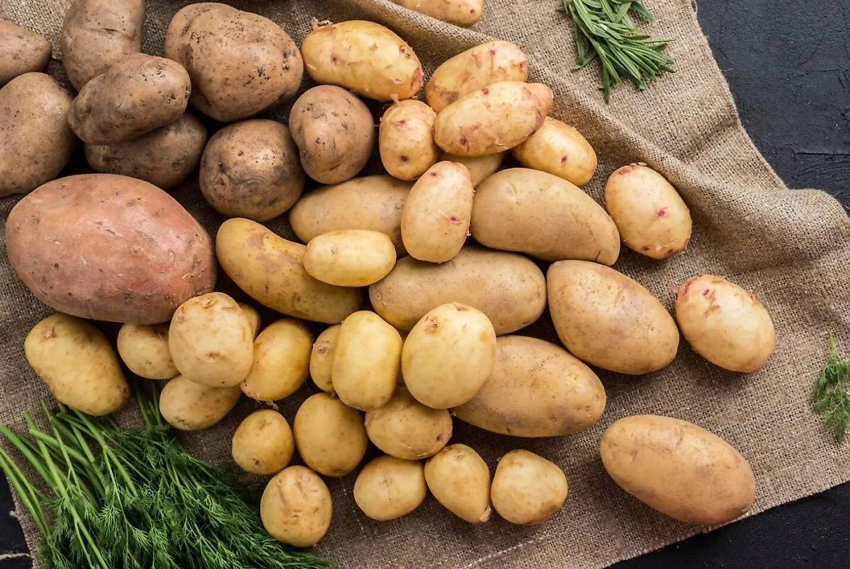 Нельзя есть картофель, если кожура имеет зелёный оттенок. Обложка © Freepik.com