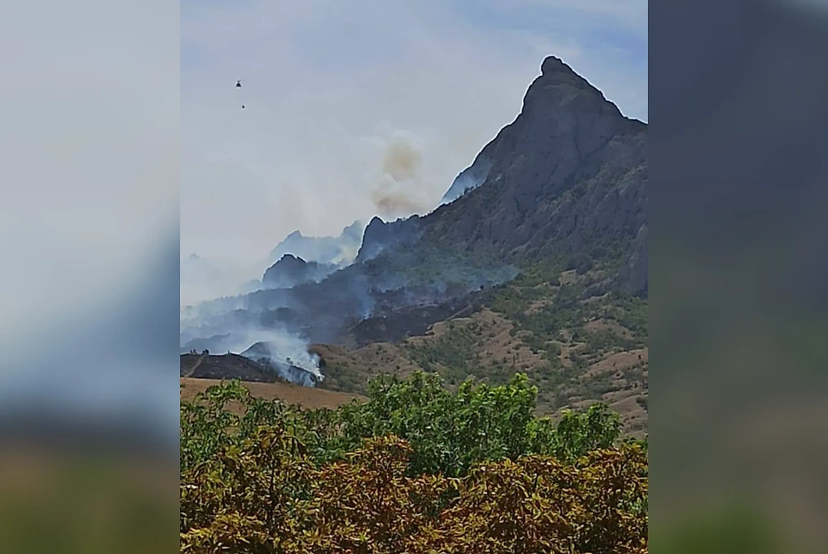 Пожар в Коктебеле распространился на Карадагский заповедник. Обложка © Telegram / Прокуратура Республики Крым