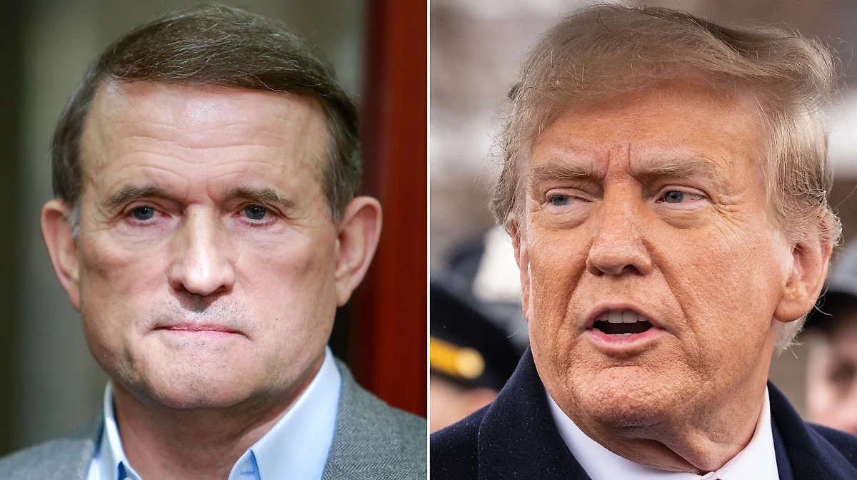 Виктор Медведчук и Дональд Трамп. Обложка © ТАСС / Ирина Яковлева, © Shutterstock / FOTODOM / lev radin