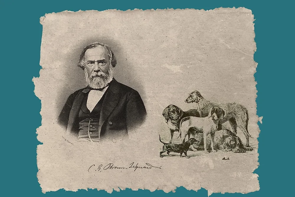 Физиолог Шарль Броун-Секар. Фото © Wikipedia