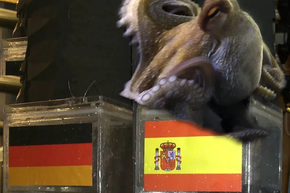 Осьминог Пауль с точностью предсказывал результаты матчей на чемпионате мира по футболу 2010 года. Фото © Wikipedia / Mbz1 (talk)