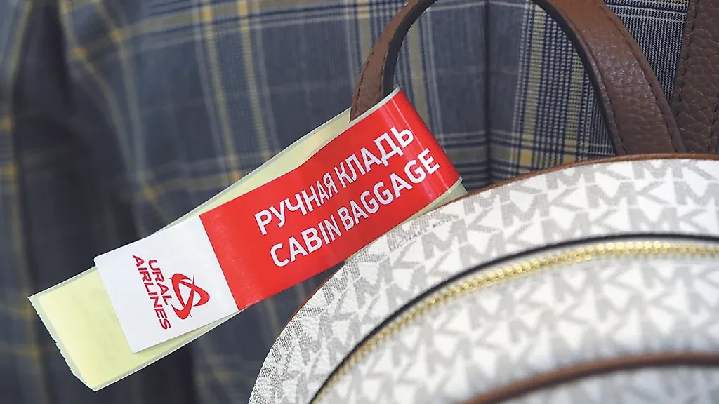 Летать только с ручной кладью — отличный способ сэкономить на авиабилетах. Фото © ТАСС / Владимир Гердо
