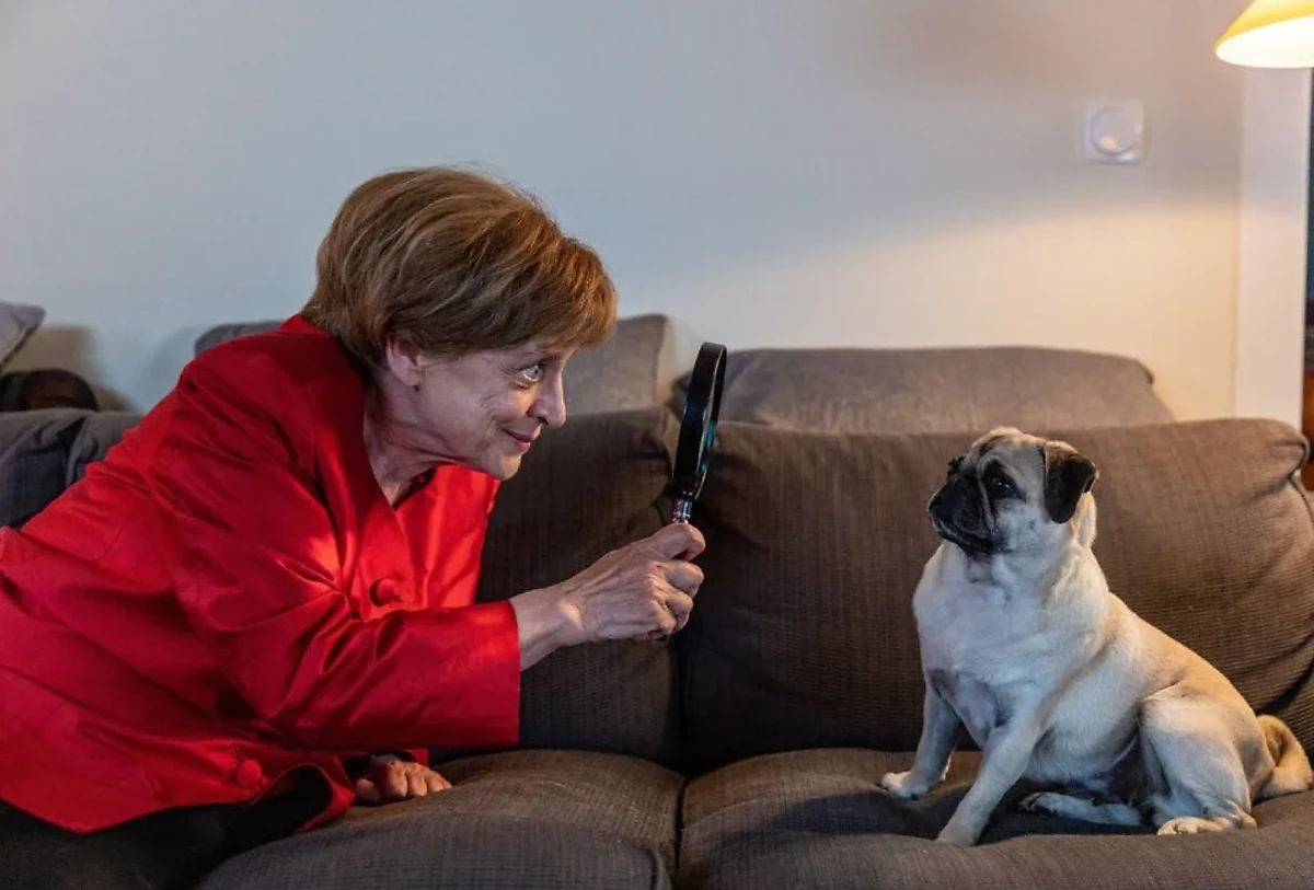 Кадр из сериала "Мисс Меркель" / © imdb.com