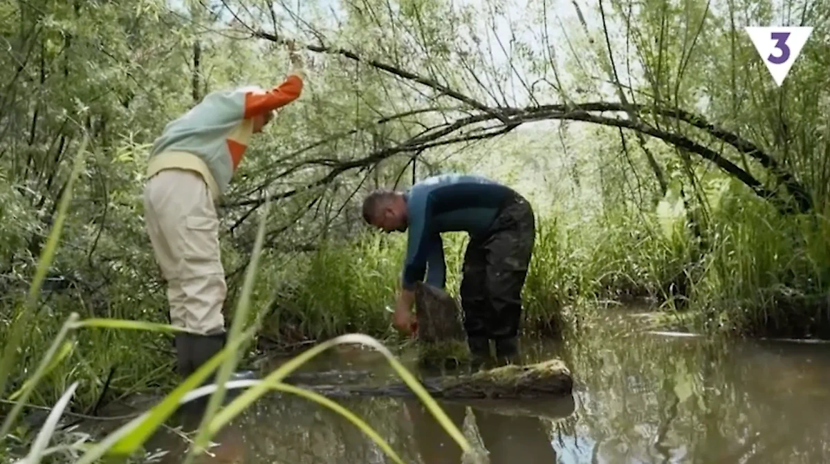 Участники шоу "Последний герой" на Алтае. Кадр из видео © Rutube / Последний герой. Русский сезон