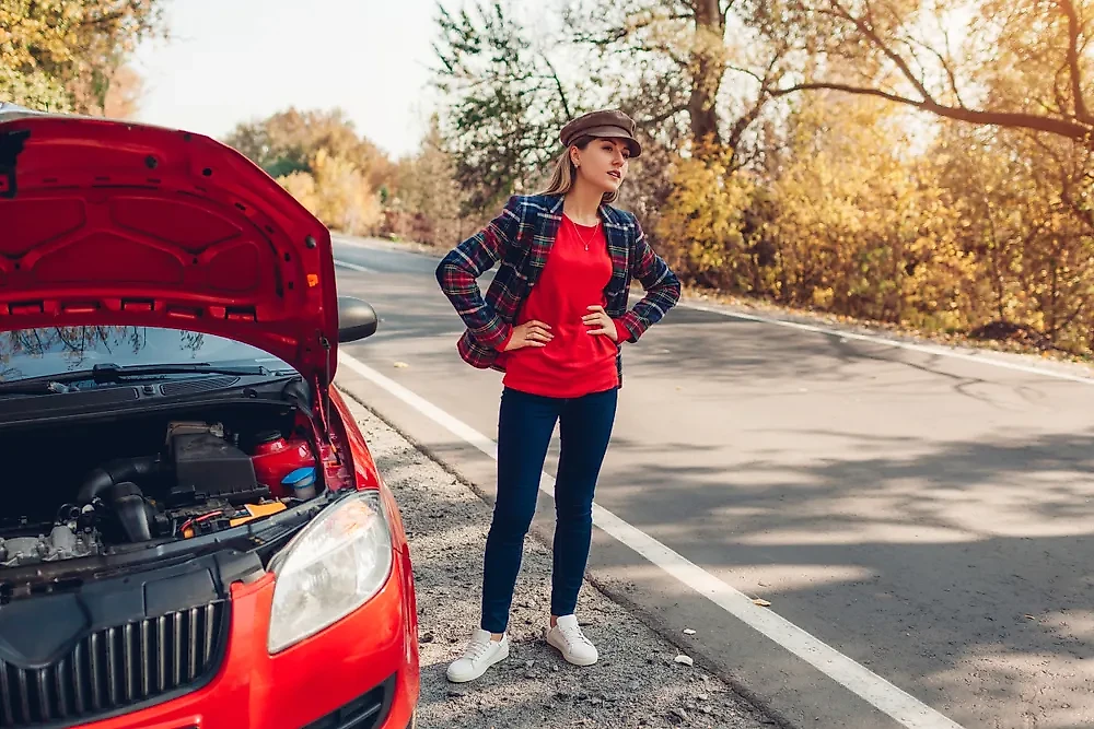 Фото © Shutterstock / FOTODOM / Mariia Boiko