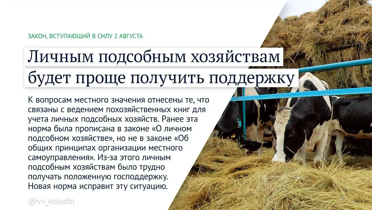 Володин рассказал о законах, вступающих в силу в РФ с августа. Фото © Telegram/Вячеслав Володин