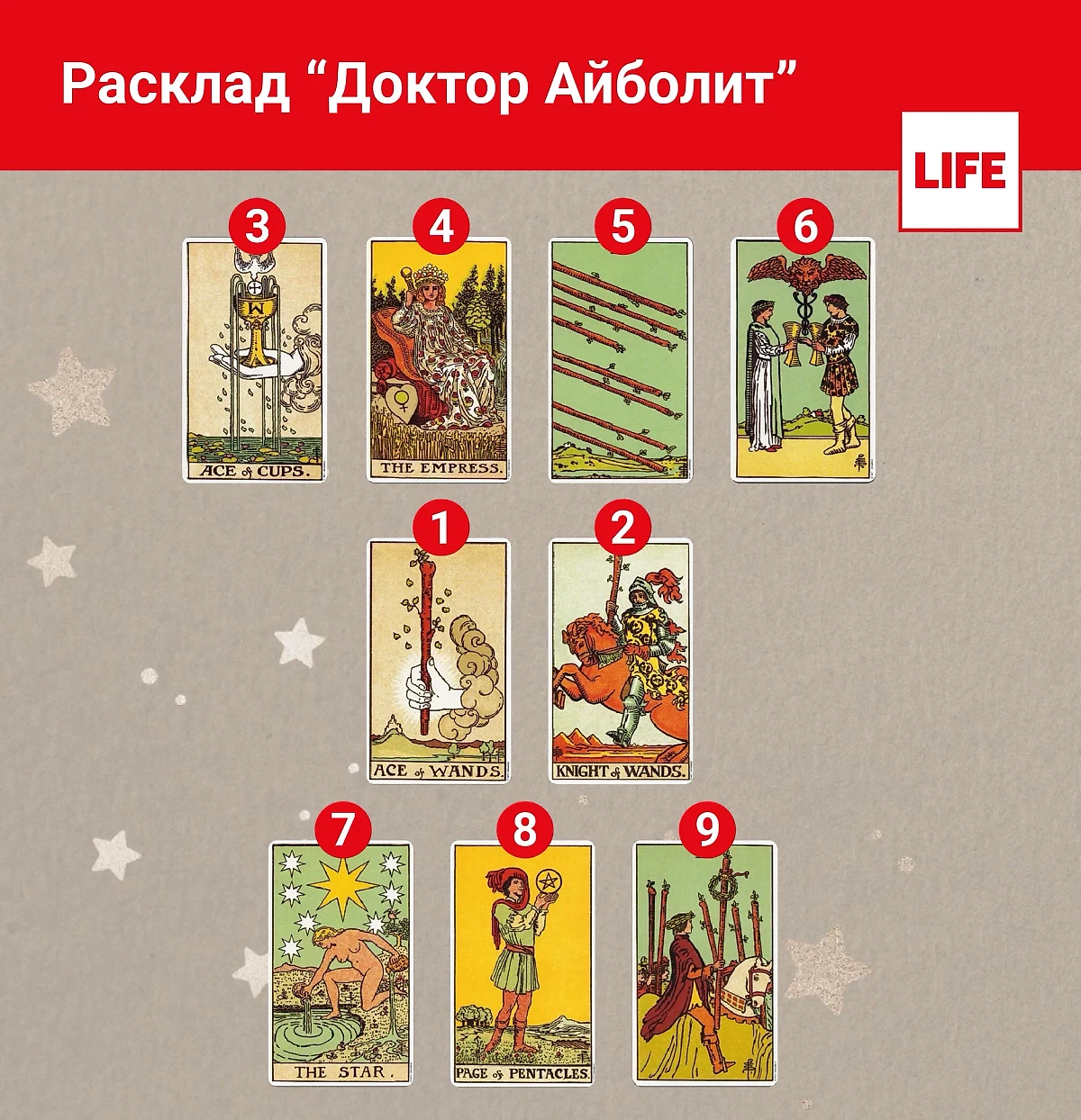 Расклад карт Таро "Доктор Айболит". Инфографика © Life.ru