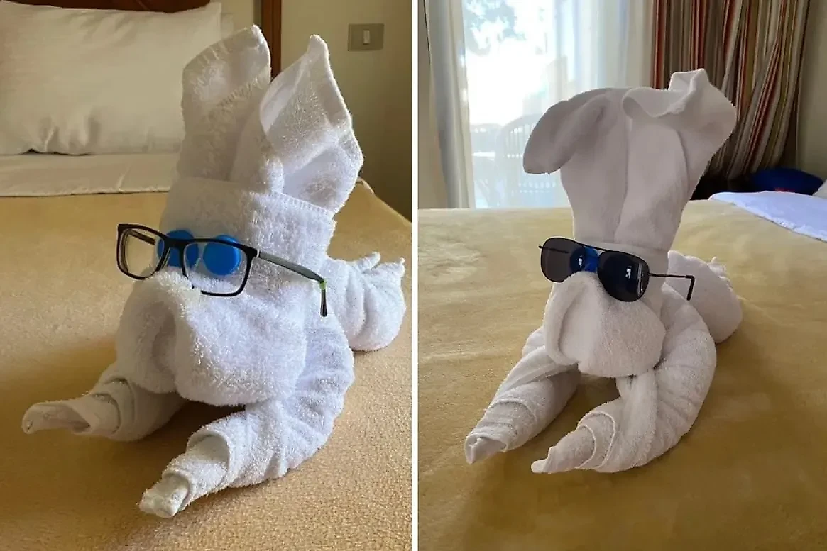 Фото © X / ya_znau_kto_ya