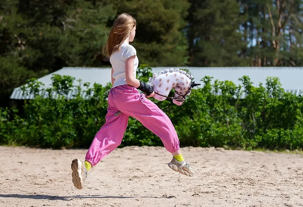 Минспорт не признал хоббихорсинг видом спорта в России. Обложка © Shutterstock / FOTODOM / marinat197