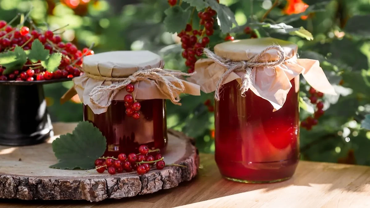 Как приготовить вкусное желе из ягод. Обложка © Shutterstock / FOTODOM / PhotoJuli86