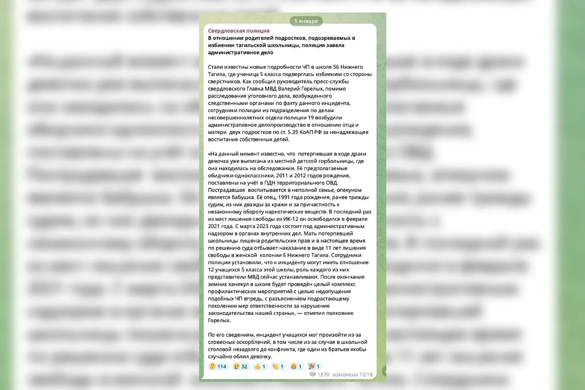 Комментарий главы пресс-службы областного МВД. Фото © Telegram / gumvdso