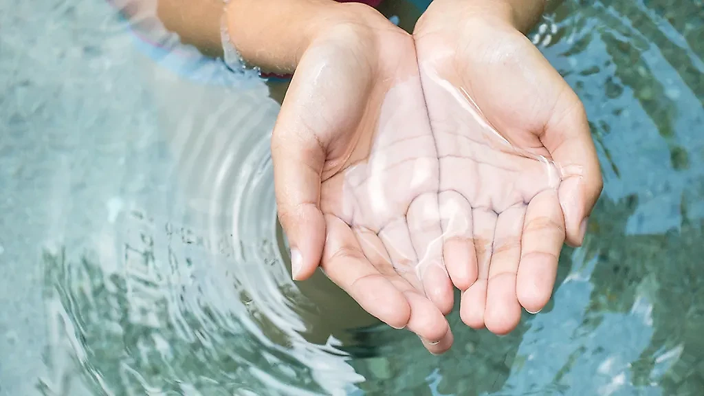 Фото © Shutterstock / FOTODOM / satit sewtiw