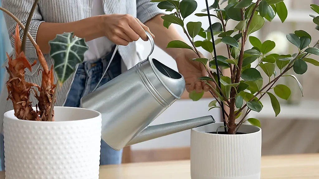 Фото © Shutterstock / FOTODOM / izkes