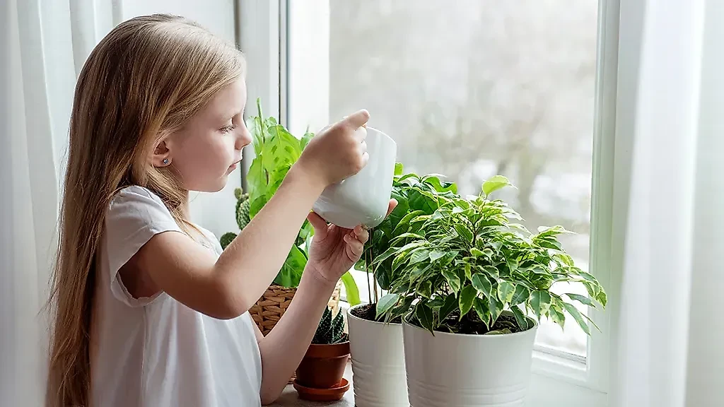 Ядовитые домашние растения, от которых стоит держать детей подальше. Обложка © Shutterstock / FOTODOM / Olena Rudo