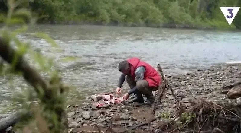 Участник шоу «Последний герой» разделывает выдру на Алтае. Обложка © Rutube / Последний герой. Русский сезон