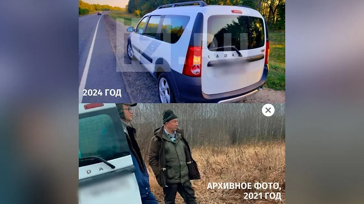 Сравнения автомобиля, дважды сбившего лося за четыре года. Обложка © Telegram / IZ.RU