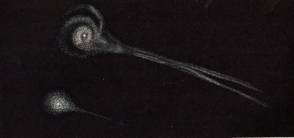 Рисунок распавшейся на две части кометы Биэлы, 1846 год. Фото © Wikipedia