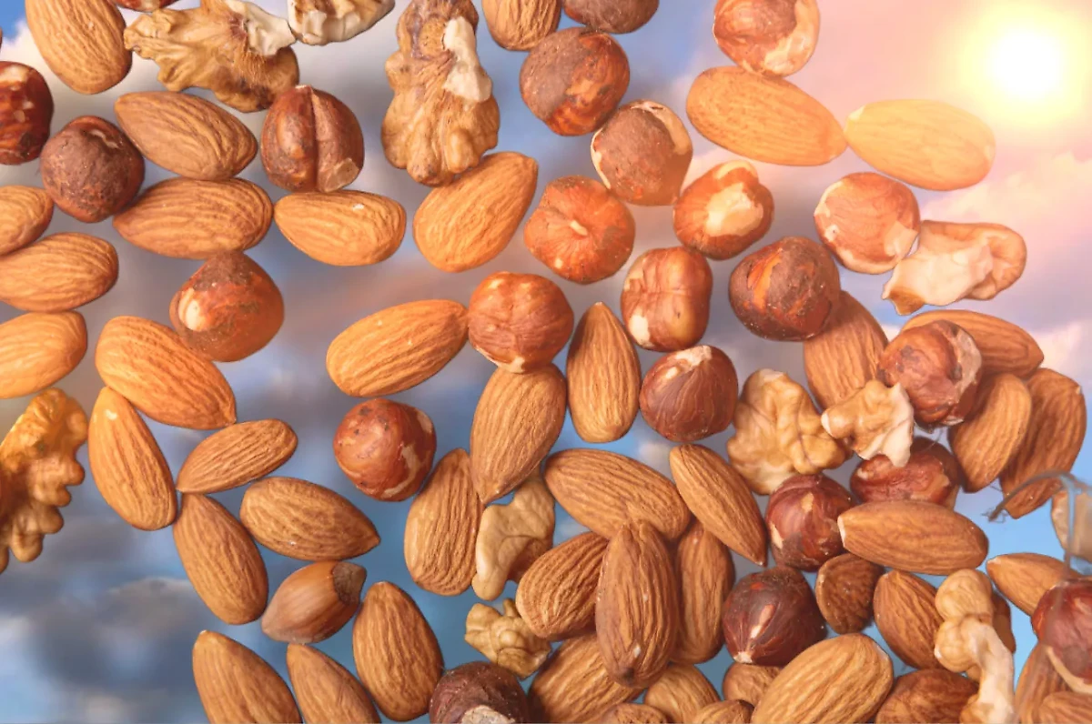 Ореховый Спас 2024: что можно и нельзя делать. Фото © Freepik