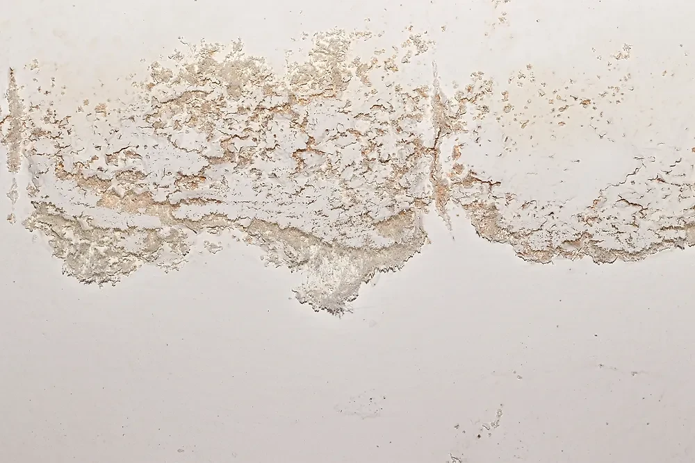 Пятна в доме: когда стоит забить тревогу? Фото © Shutterstock / FOTODOM / IamTK