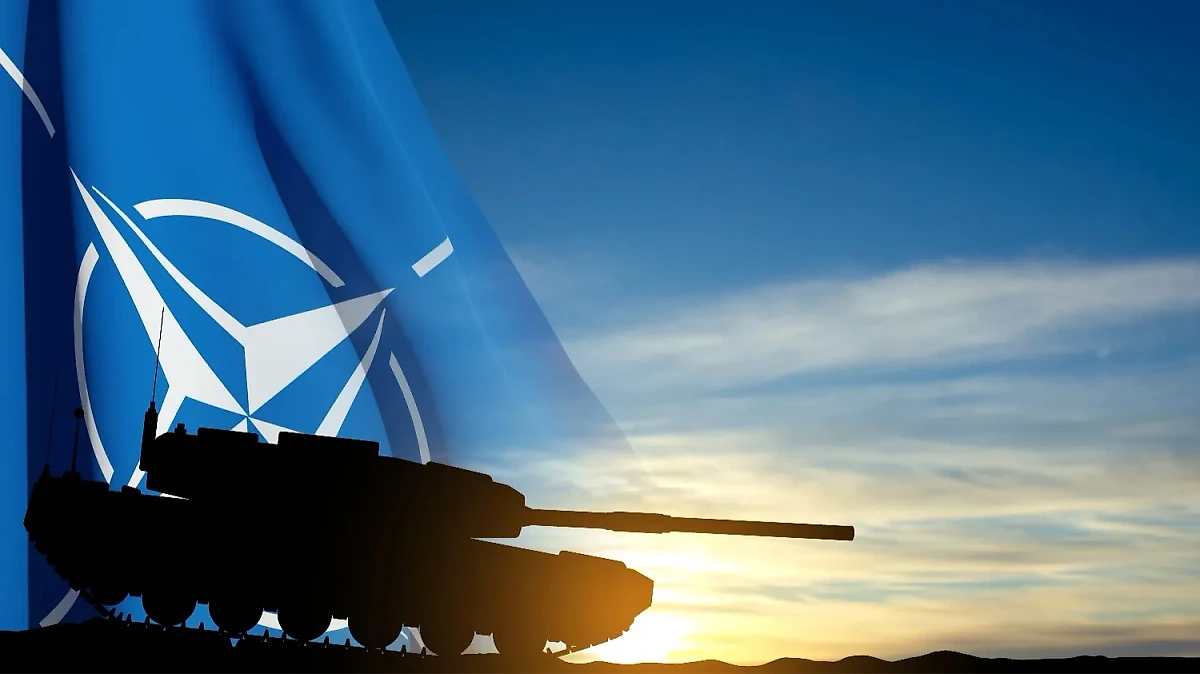 В Финляндию НАТО отправит пятитысячную бригаду. Обложка © Shutterstock / FOTODOM / e-crow