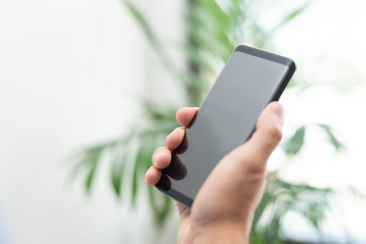 Жителям Курской области сделали бесплатный интернет и связь. Обложка © freepik / katemangostar