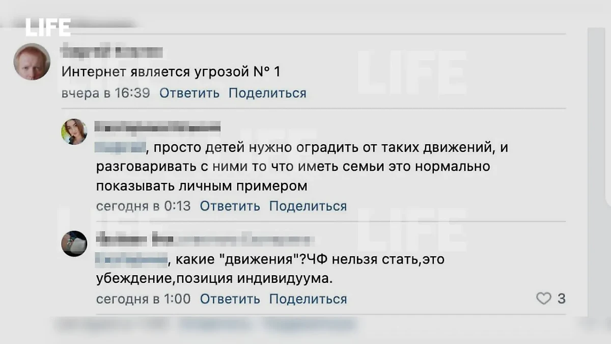 Комментатор призывает оградить детей от чайлдфри. Скриншот © Life.ru