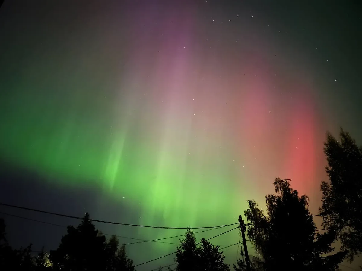 Северное сияние в Санкт-Петербурге. Обложка © Telegram / АстроФотоБолото: Атмосферное