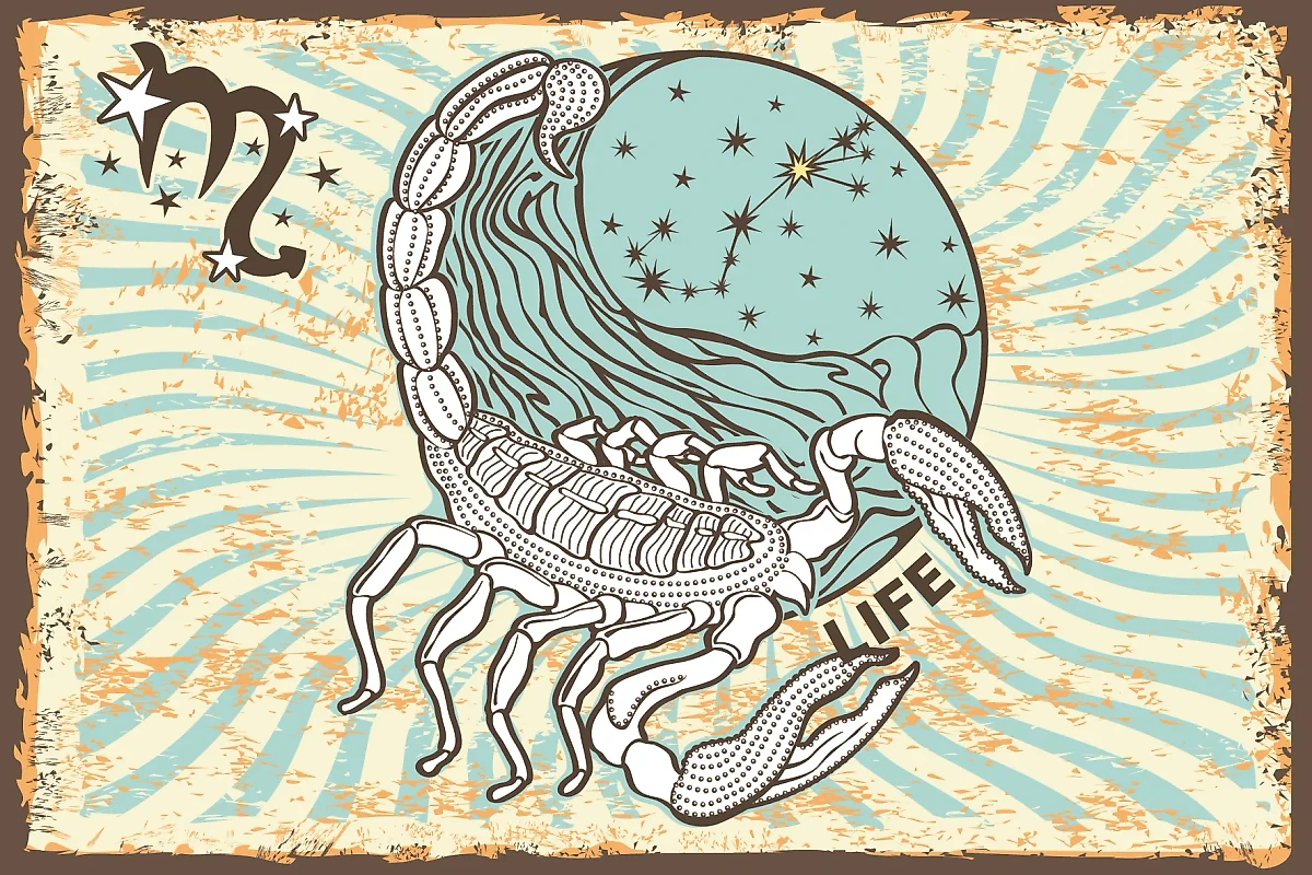 Знак зодиака Скорпион — подробный гороскоп на неделю с 30 сентября по 6 октября. Коллаж © Life.ru. Фото © Shutterstock / FOTODOM / TatiKost94