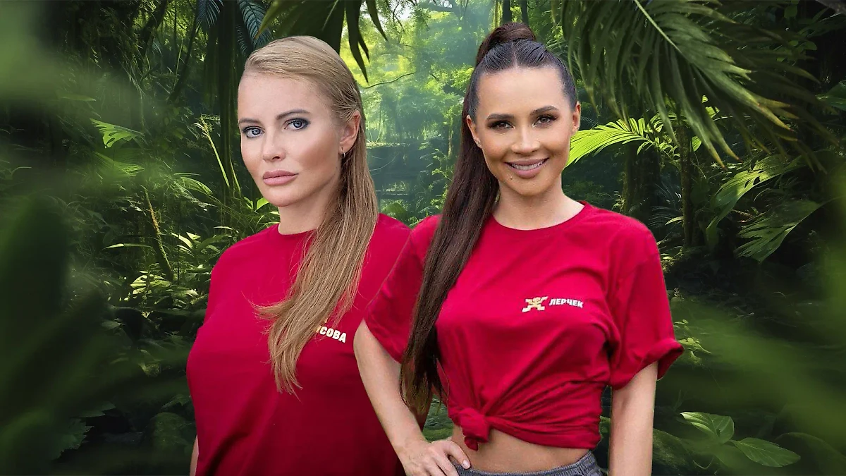 Телеведущая Дана Борисова и блогерша Лерчек. Коллаж © Life.ru. Обложка © Telegram / vsereality, © Freepik