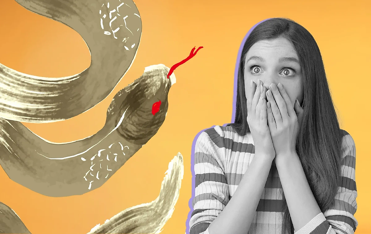 Почему предстоящий год Змеи окажется для носителей всех знаков зодиака настоящим испытанием. Коллаж © Life.ru. Фото © Freepik / benzoix, © Shutterstock / FOTODOM / okaka