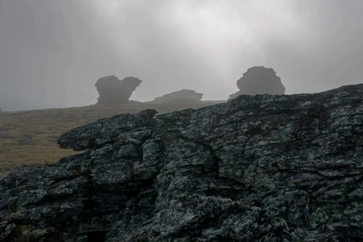 Знаменитая экспедиция Дятлова пропала как раз на горе Холатчахль. Фото © wikimapia