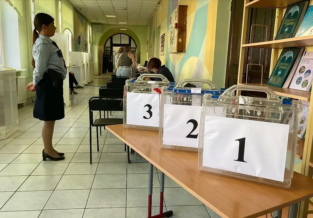 Выборы в РФ. Обложка © Life.ru