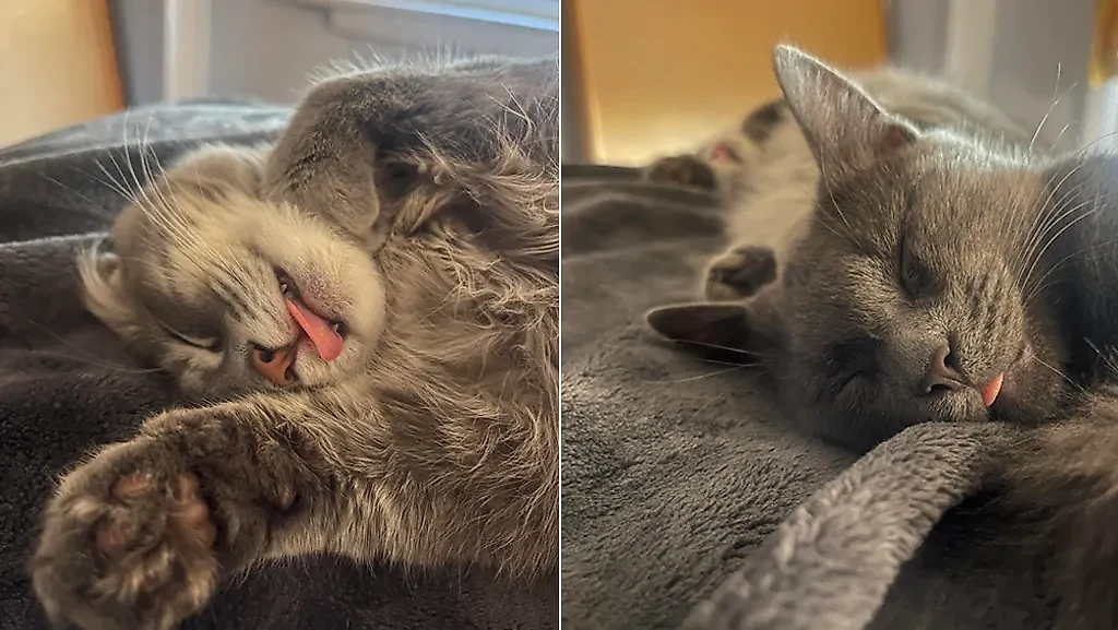 Фото © Reddit / ReadingHotTakes10