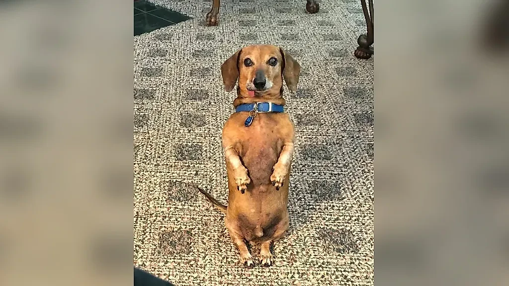 Фото © Reddit / Bassically23