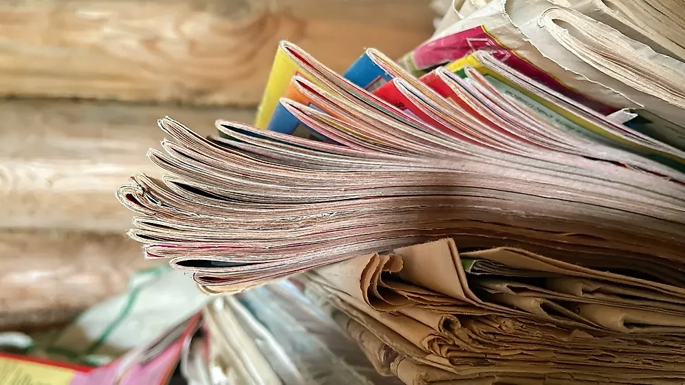 Польза экологии и копеечка в кармане: как правильно выбрасывать хлам. Фото © Shutterstock