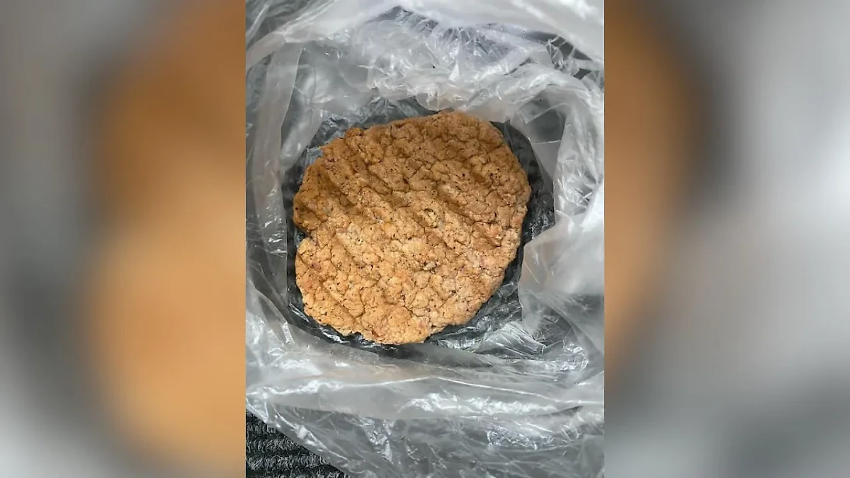 Котлета, которой отравился ребёнок в Красноярском крае. Фото © ГСУ СК России по Красноярскому краю и Республике Хакасия