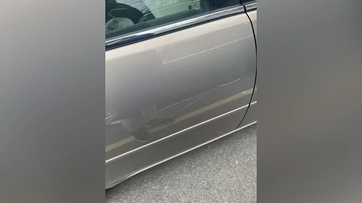 Фото © Reddit / iiDaBomb