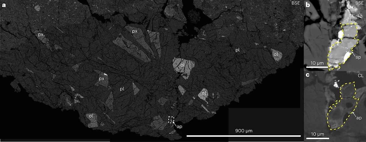 Вкрапления апатита в образце лунного метеорита AP 007. Фото © nature.com