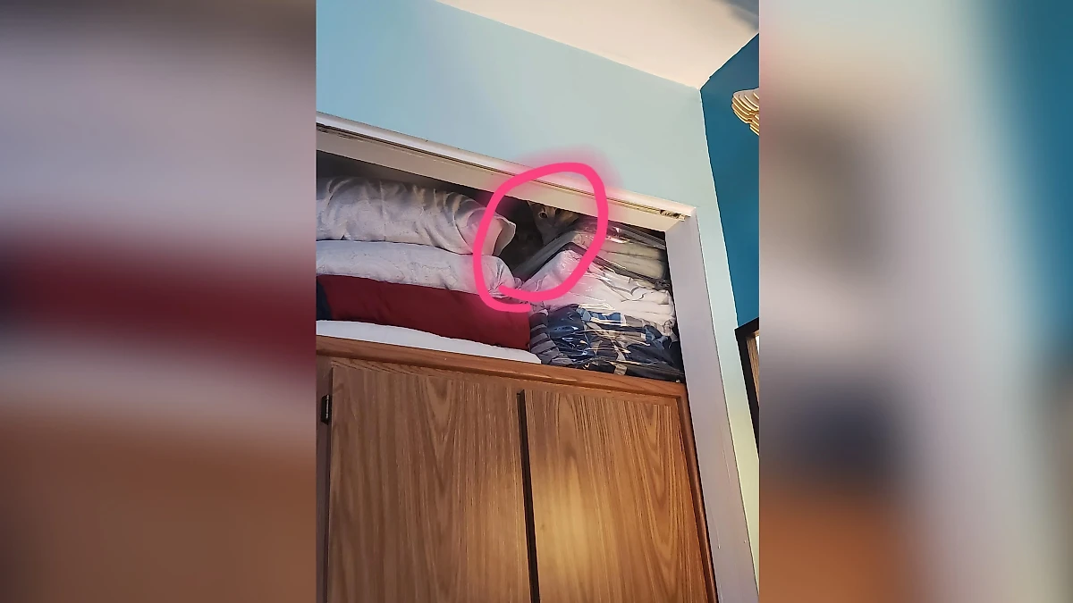 Фото © Reddit / Nefarial1