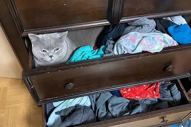 Фото © Reddit / K1NGMIO