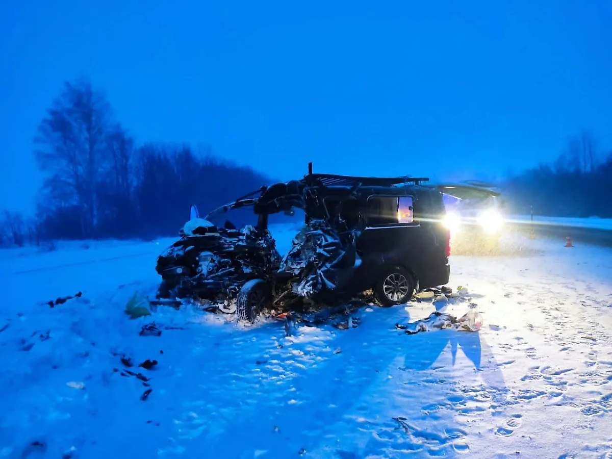ДТП в Пензенской области. Обложка © t.me / СУ СКР по Пензенской области