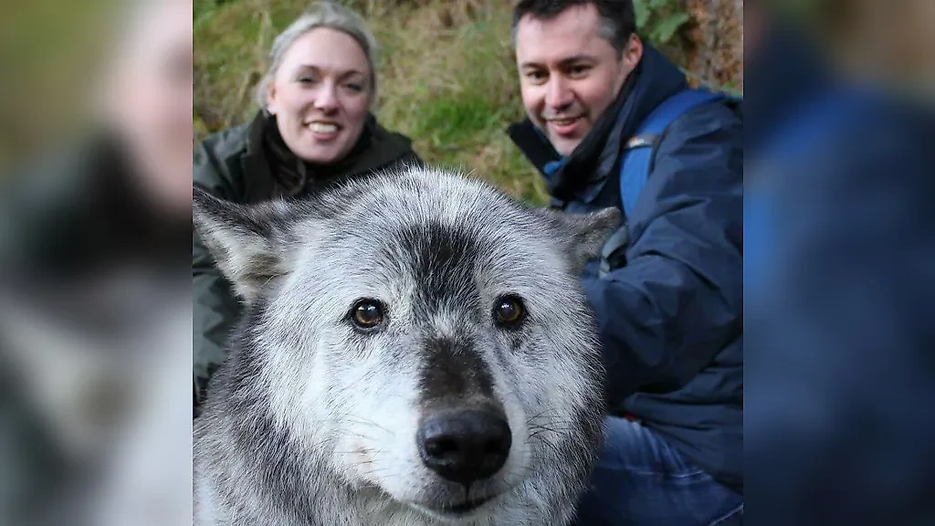 Фото © Reddit / Romeo_Wolf