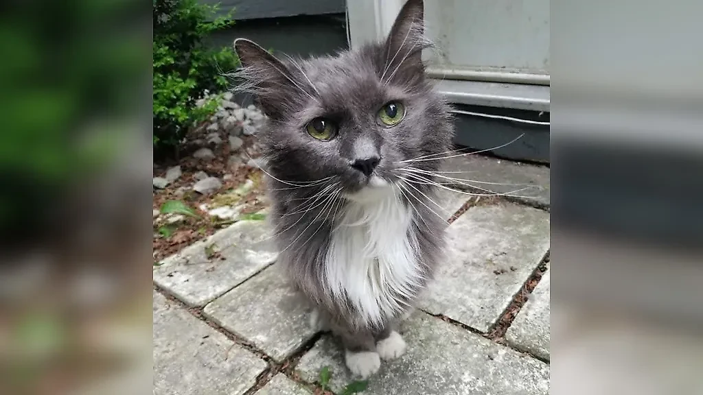 Фото © Reddit / canuck5551