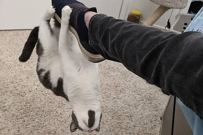 Фото © Reddit / jasontaken