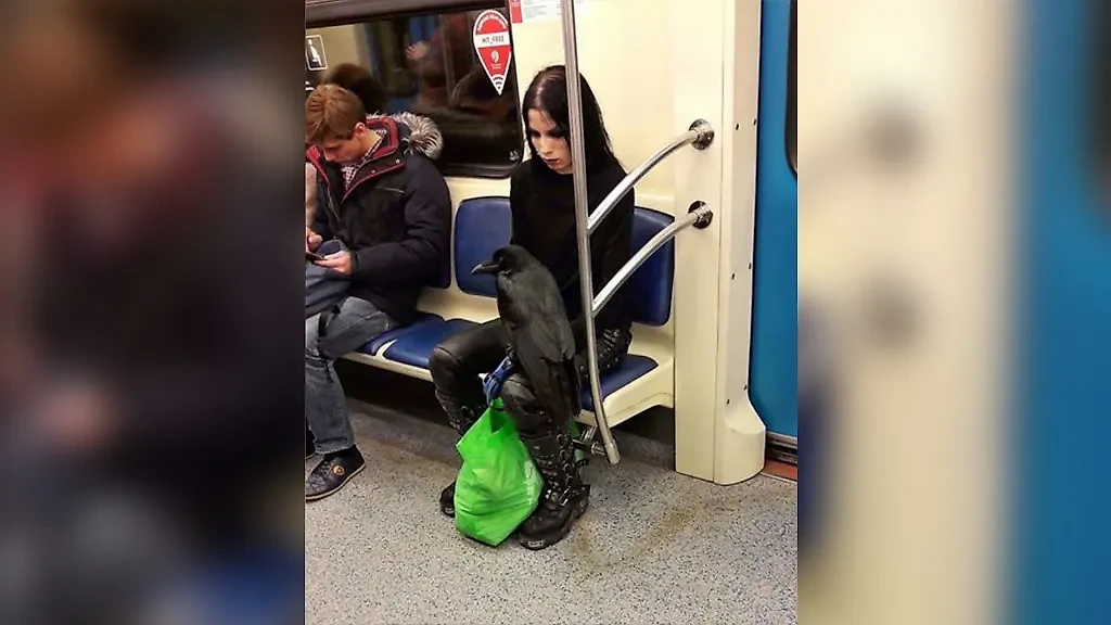 Фото © VK / Мода Московского Метро