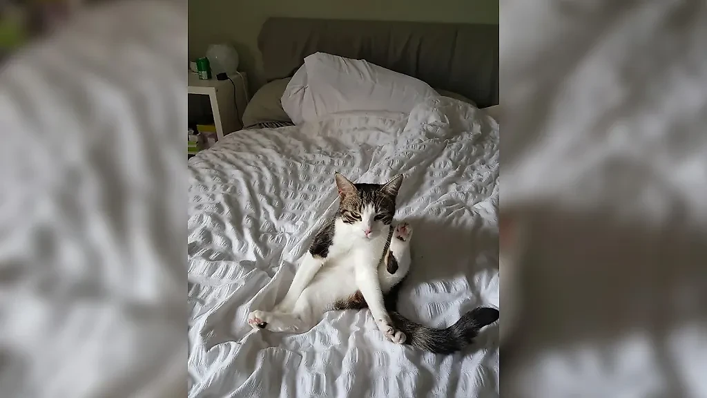 Фото © Facebook (признан экстремистской организацией и запрещён на территории Российской Федерации) / Clair Chapman